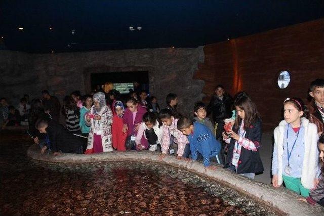 Aquavega 3.yılını 3 Bin Ziyaretçisiyle Kutladı 1