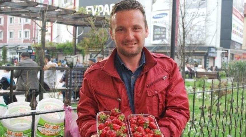 Bartın &Ccedil;ileği Tezgahlardaki Yerini Aldı