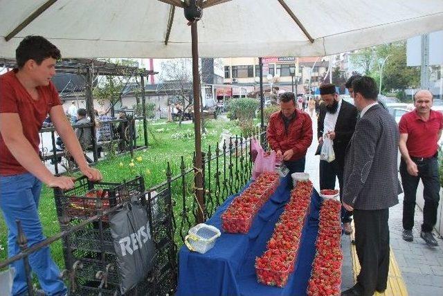 Bartın Çileği Tezgahlardaki Yerini Aldı