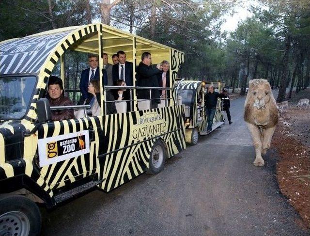 Türkiye’nin İlk Safari Parkı’na Ziyaretçi Rekoru