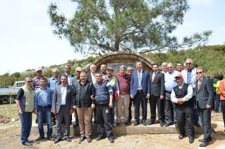 Kirazlı’da Gölet Mesire Alanı Ağaçlandırıldı G3