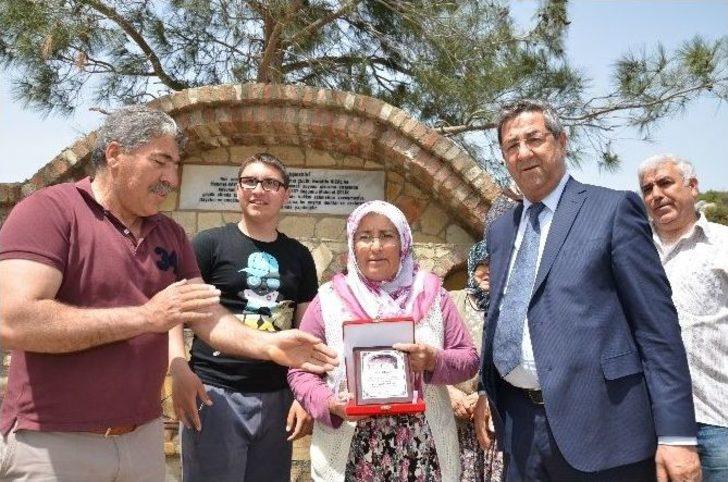 Kirazlı’da Gölet Mesire Alanı Ağaçlandırıldı G5