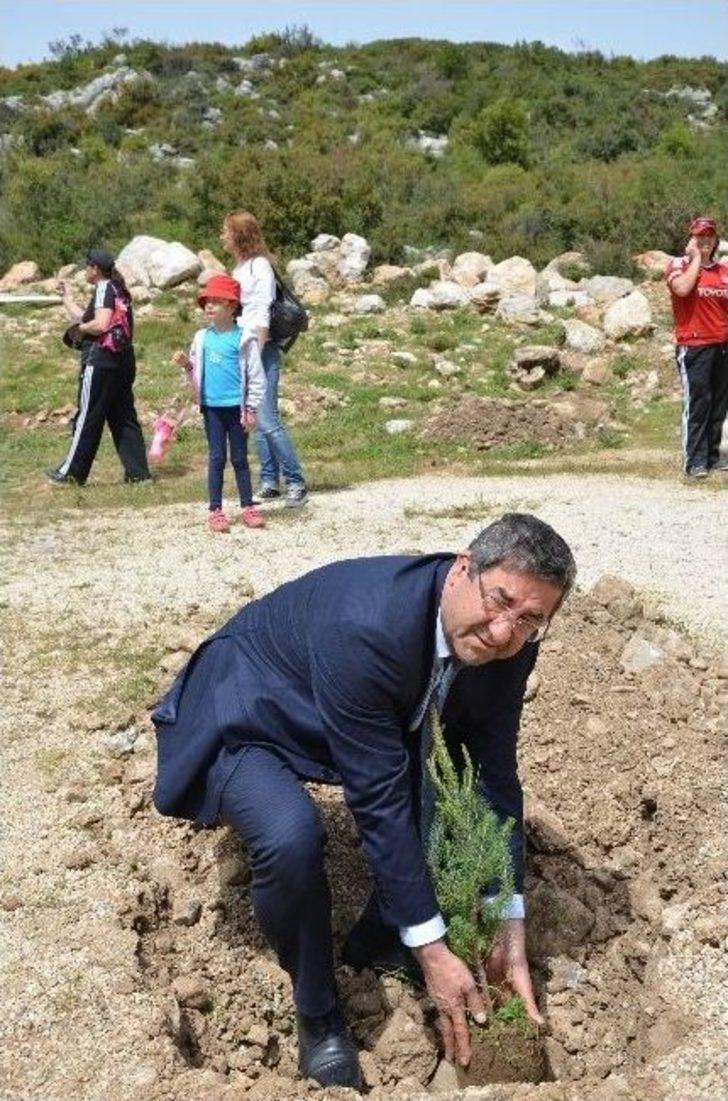 Kirazlı’da Gölet Mesire Alanı Ağaçlandırıldı G2