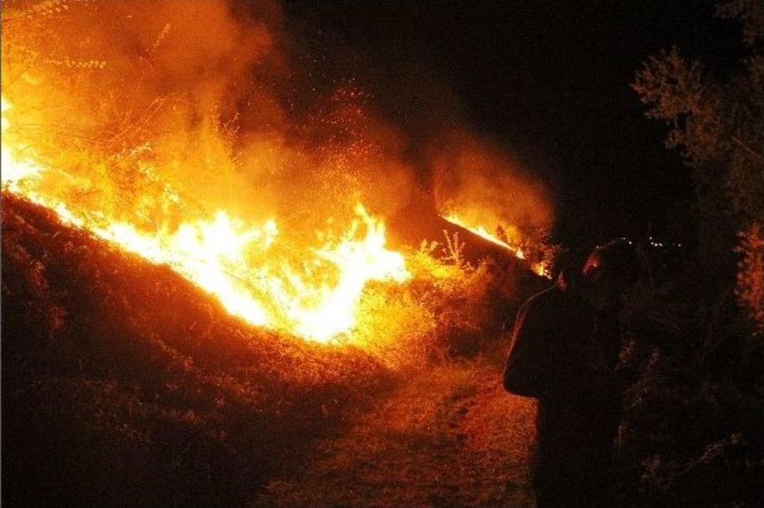 Ormanlık Alanda &Ccedil;ıkan Yangın Korkuttu