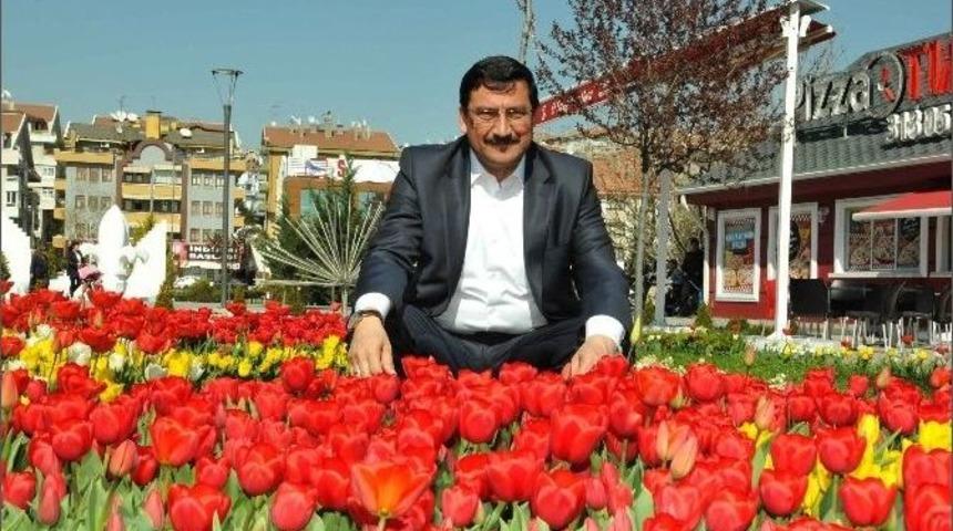 Ke&ccedil;i&ouml;ren &Ccedil;i&ccedil;ek A&ccedil;tı