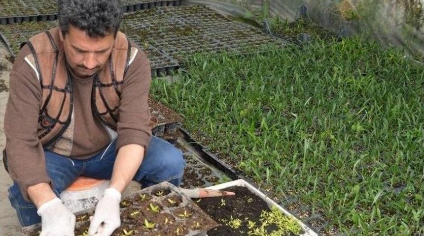 &ldquo;&ccedil;i&ccedil;eğimiz Seramızdan" Projesi