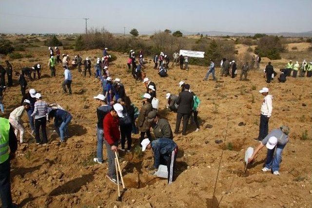 Alpu’daki Kutlu Doğum Ormanına 1444 Fidan Dikildi