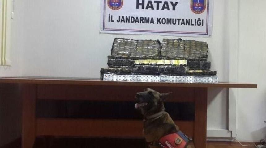 Hatay&rsquo;da Ka&ccedil;ak&ccedil;ılık Operasyonları