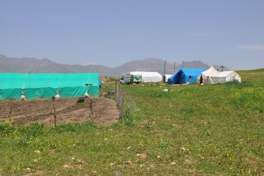 (&ouml;zel Haber) Cudi, Gabar Ve Kato Dağları G&ouml;&ccedil;erlerin Mekanı Oldu