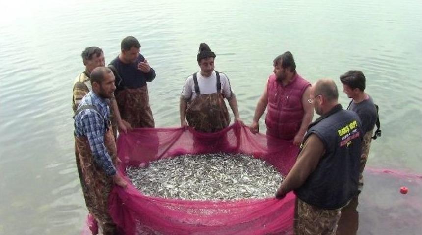İznik G&ouml;l&uuml;n&uuml;n Minik Canavarları
