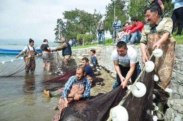 İznik Gölünün Minik Canavarları