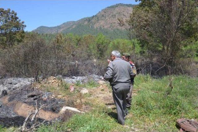 Köyceğiz'de Yürekleri Ağza Getiren Orman Yangını (2)- Yeniden