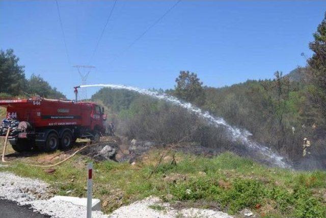 Köyceğiz'de Yürekleri Ağza Getiren Orman Yangını (2)- Yeniden