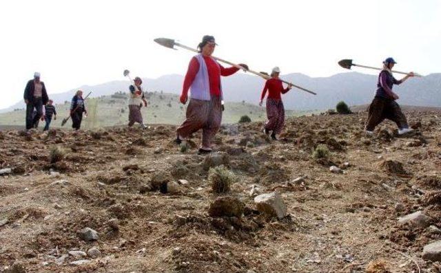 Burdur Gölü'nü 'lavanta Deresi' Kurtaracak