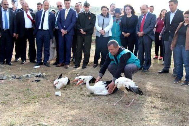 Burdur Gölü'nü 'lavanta Deresi' Kurtaracak