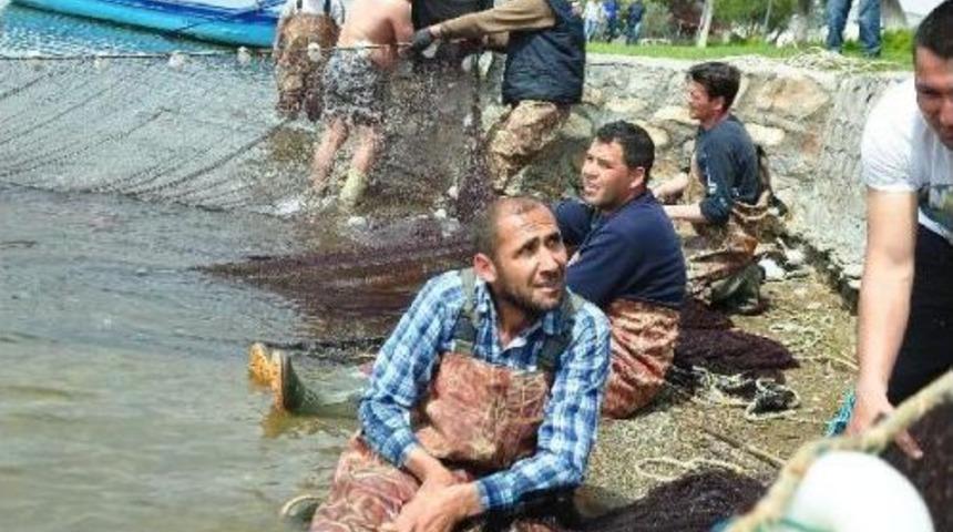 İznik G&ouml;l&uuml;&rsquo;Nde &lsquo;Canavar' Balığa' Av Yasağı Yok