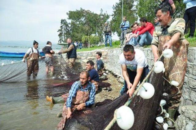 İznik Gölü’Nde ‘Canavar' Balığa' Av Yasağı Yok