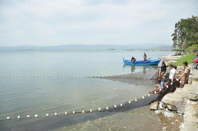 İznik Gölü’Nde ‘Canavar' Balığa' Av Yasağı Yok