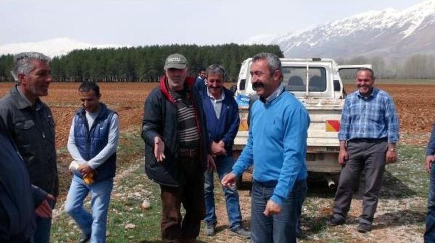 Tkp'li Başkan, Hazine Arazisine Ektiği &Uuml;r&uuml;nleri Yoksullara &Uuml;cretsiz Dağıtacak