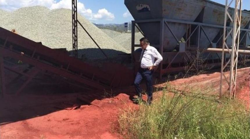 "sokak Hayvanları Bakım Merkezi" Hazırlanıyor