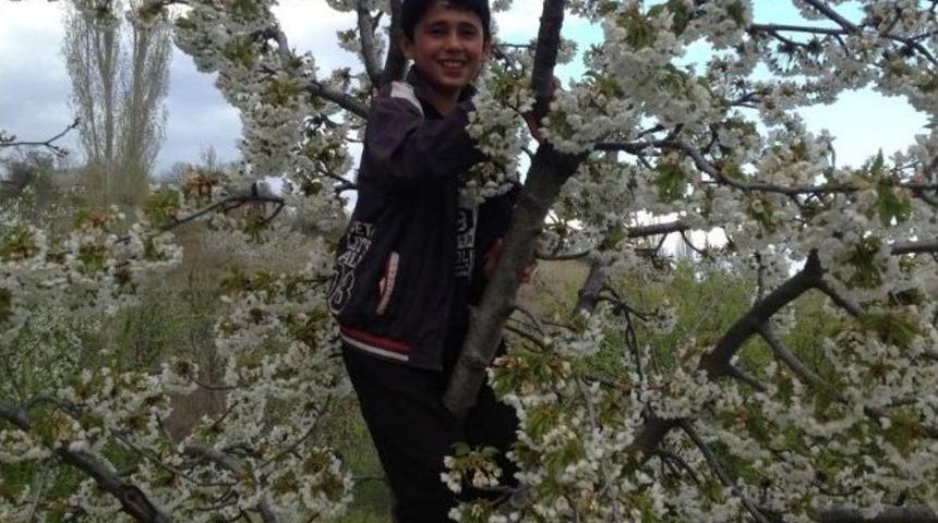 Pazarlar &Ccedil;i&ccedil;ek A&ccedil;tı