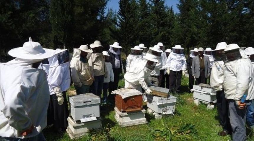 Arıcılar Uygulamalı Eğitim Sonunda Sertifikalarını Aldı