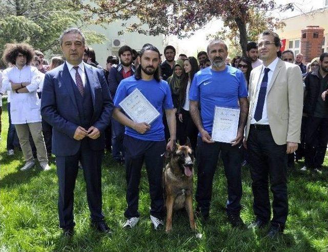 Köpeklerin Eğitim Gösterisine İzleyicilerden Yoğun İlgi