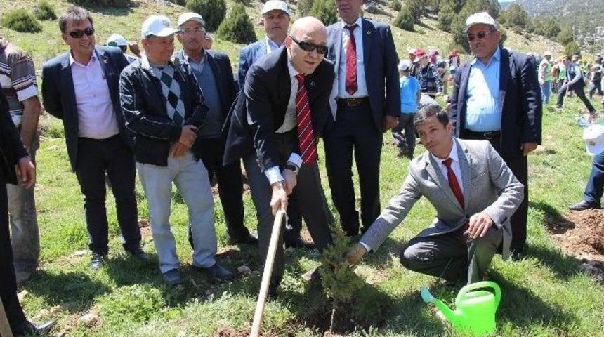 Bucak&rsquo;ta 250 Bin Fidan, Toprakla Buluştu