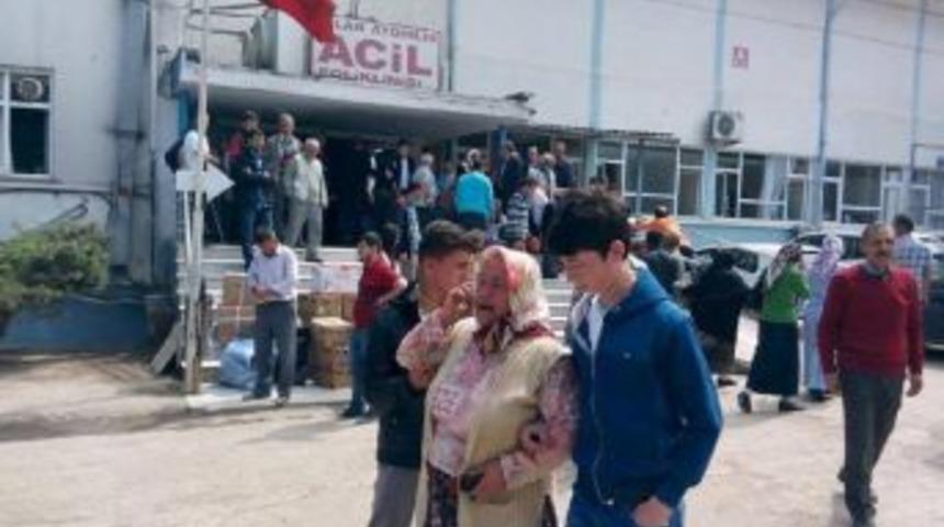 Ordu'da Kesilen Ağacın Altında Kalan Kadın &Ouml;ld&uuml;