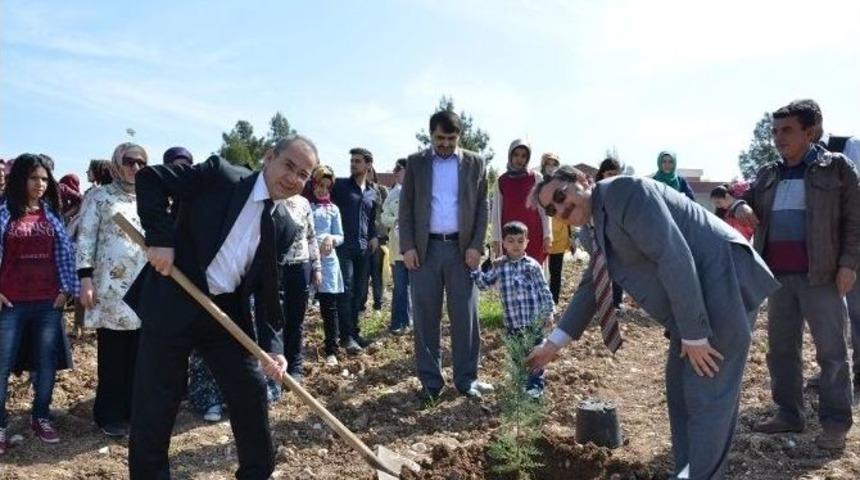 &Uuml;niversitesi &Ouml;ğrencilerinden Fidan Dikme Etkinliği