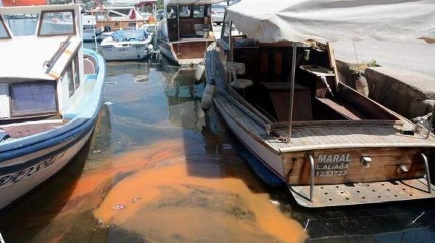 Denizdeki Turuncu Tabaka Kirlilik Değil 'kırmızı Gelgit' &Ccedil;ıktı