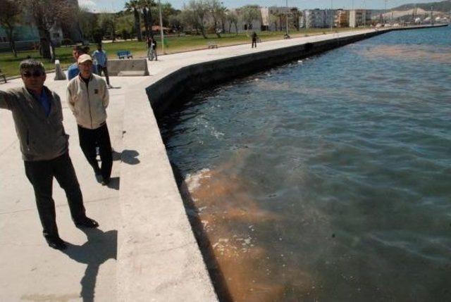 Denizdeki Turuncu Tabaka Kirlilik Değil 'kırmızı Gelgit' Çıktı