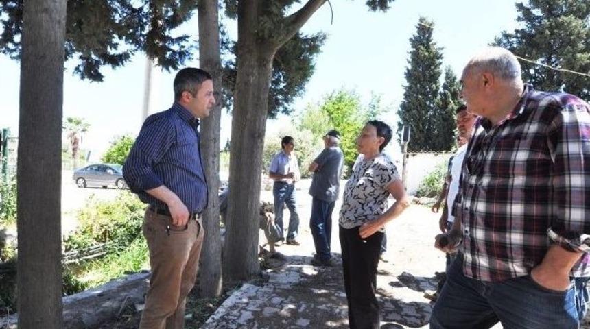 Bodrumlu Vatandaşlar Ağa&ccedil;ların Kesilmesini İstemiyor