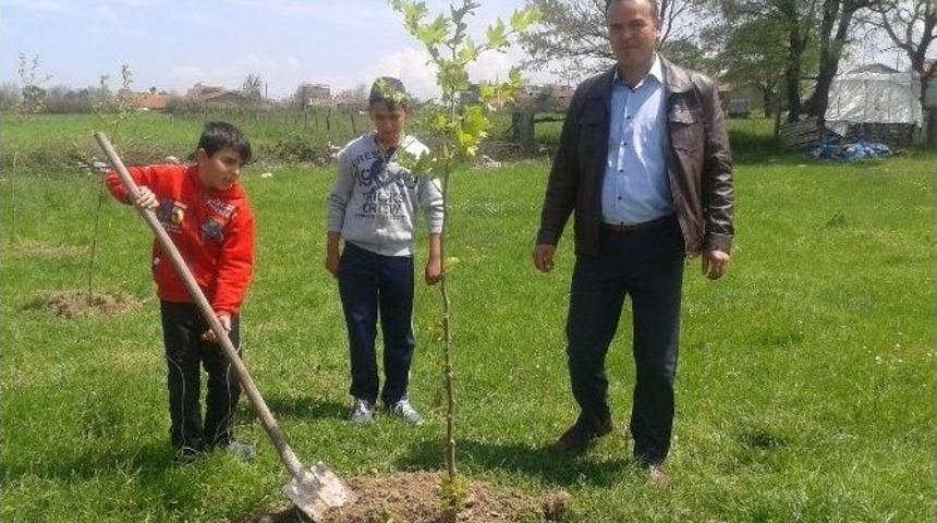 Etili K&ouml;y&uuml;ne 300 Fidan Dikildi