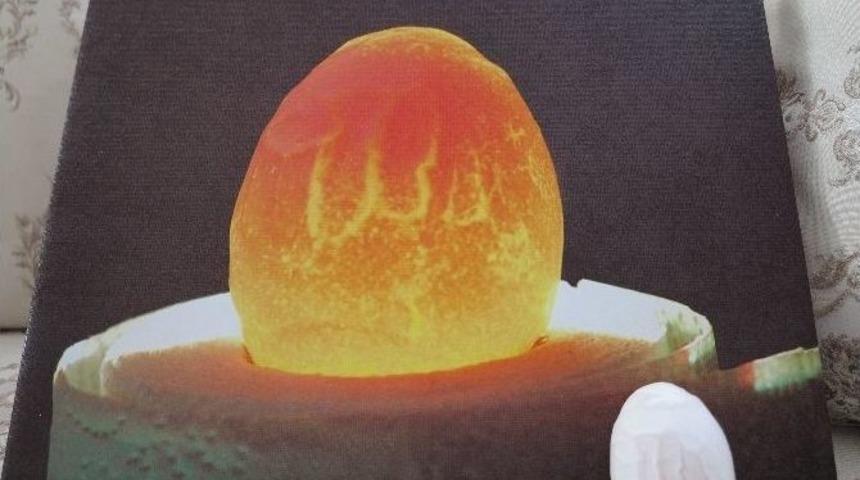 Yumurtanın &Uuml;zerinde Arap&ccedil;a "allah" Yazısı