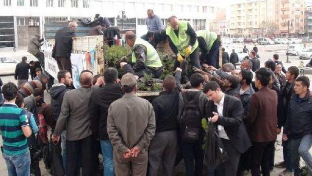 Vali Fidan Dağıttı 1