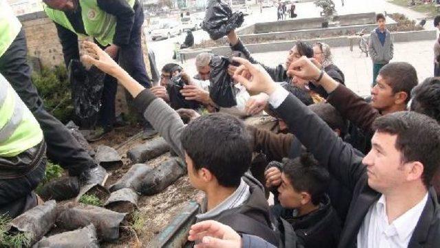 Vali Fidan Dağıttı 2