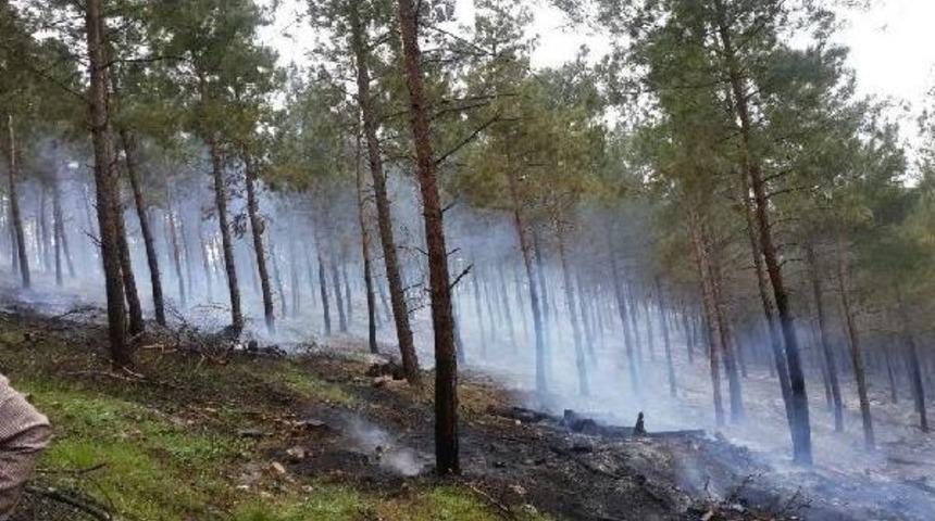 Bayrami&ccedil;'te 1 Hektarlık Ormanlık Alan Yandı