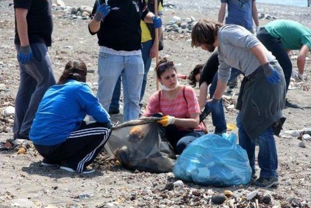 &Uuml;niversite &Ouml;ğrencileri Sahili &Ccedil;&ouml;pten Temizledi 2