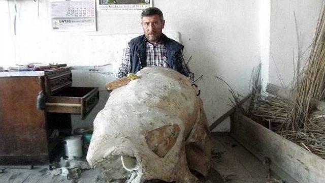 (özel Haber) Semercilik Son Günlerini Yaşıyor