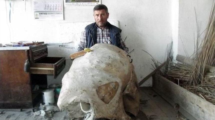 (özel Haber) Semercilik Son Günlerini Yaşıyor