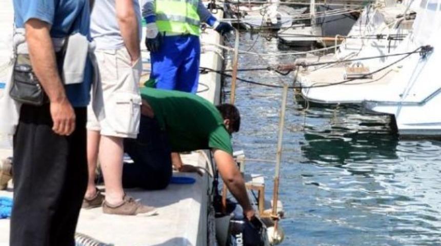 Ortakent'te Deniz Dibi Temizliği