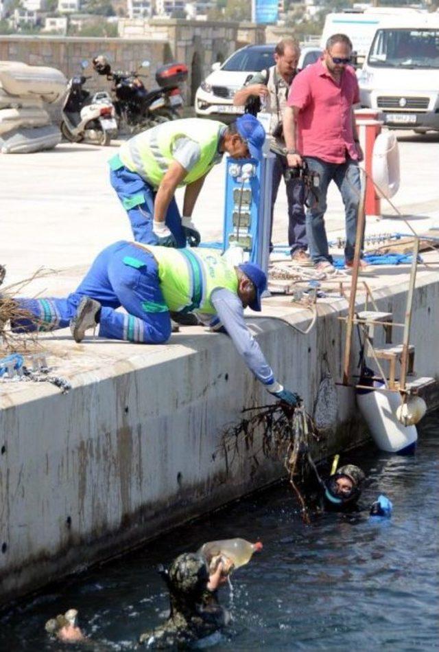 Ortakent'te Deniz Dibi Temizliği