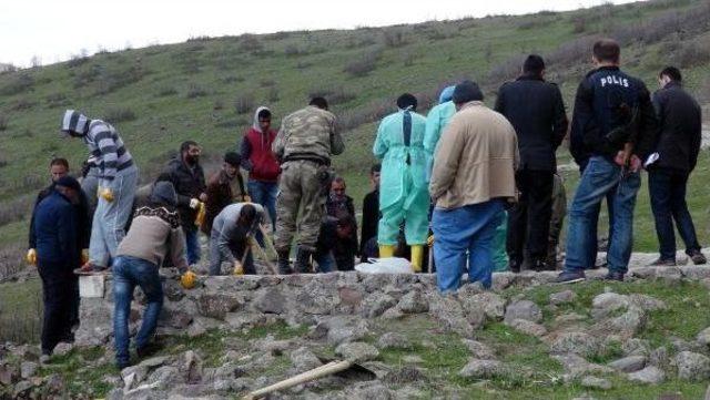 Tunceli'deki Toplu Mezardan Çıkan Mühür Ve Kemikler