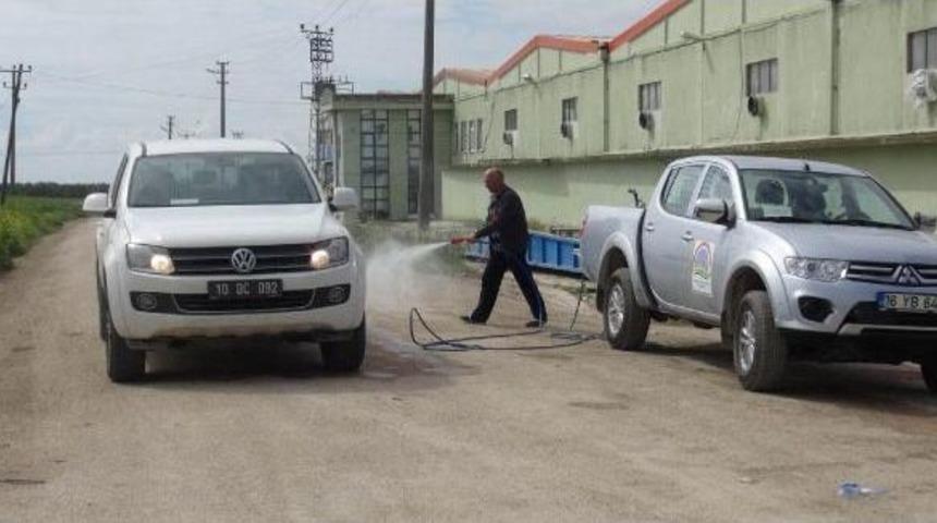 Bird Flu Found In Turkey&rsquo;S West, Area Quarantined