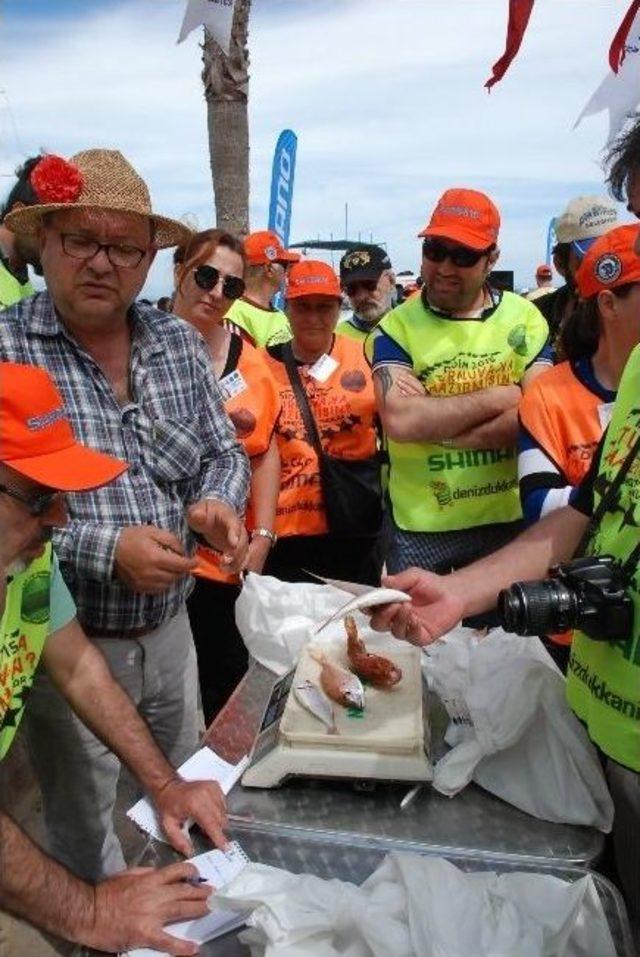 Didim 1. Amat&ouml;r Oltacılar Turnuvası Ger&ccedil;ekleştirildi 3