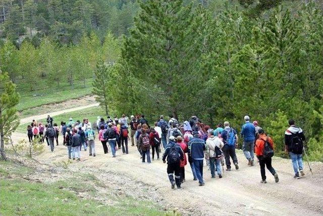 Beyşehir’de Doğa Yürüyüşü Ve Fotoğraf Gezisi Etkinlikleri