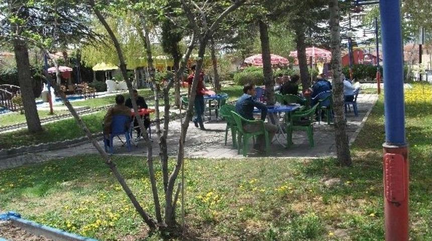 Seyitgazi Belediyesi &Ccedil;ay Bah&ccedil;esi Yaza Hazır
