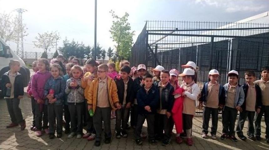 Ge&ccedil;ici Bakımevini Ziyaret Eden &Ouml;ğrencilere Hayvan Sevgisi Aşılanıyor