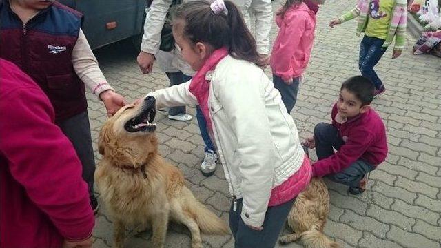 Geçici Bakımevini Ziyaret Eden Öğrencilere Hayvan Sevgisi Aşılanıyor